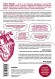 Дело сердца. 11 ключевых операций в истории кардиохирургии