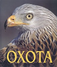 Охота Охота