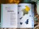 Небо. Интерактивная книга с клапанами и резными иллюстрациями про атмосферу, космос, воздухоплавание, птиц и не только