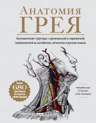 Анатомия Грея. Анатомические структуры с оригинальной и современной терминологией на английском, латинском и русском языках Анатомия Грея. Анатомические структуры с оригинальной и современной терминологией на английском, латинском и русском языках