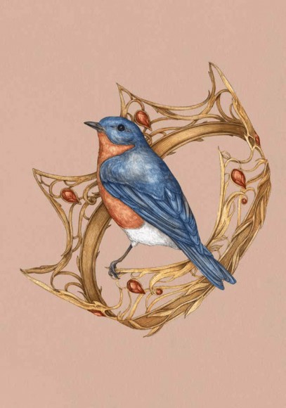 Орнітографія: Ілюстрований довідник із пташиної символіки та легенд