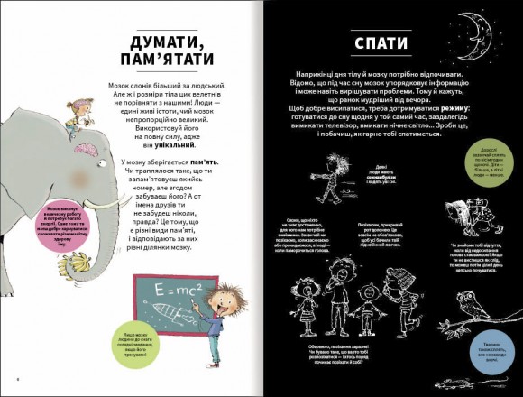 Тіло людини зсередини