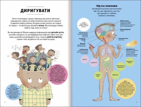 Тіло людини зсередини