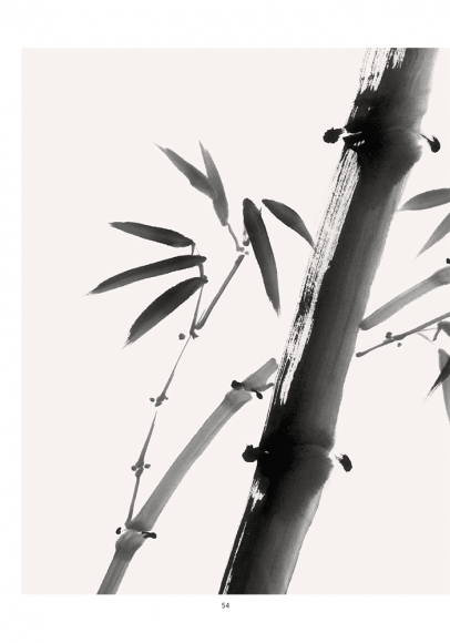 Сумі-е для початківців: вчіться малювати тушшю в японському стилі у сучасного митця Сумі-е для початківців: вчіться малювати тушшю в японському стилі у сучасного митця