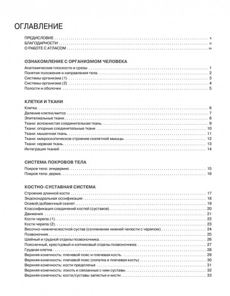 Анатомия человека. Атлас-раскраска