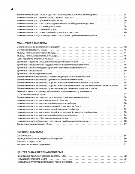 Анатомия человека. Атлас-раскраска