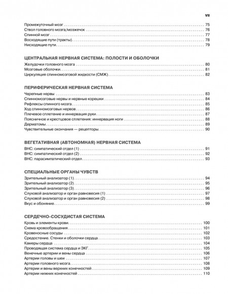 Анатомия человека. Атлас-раскраска