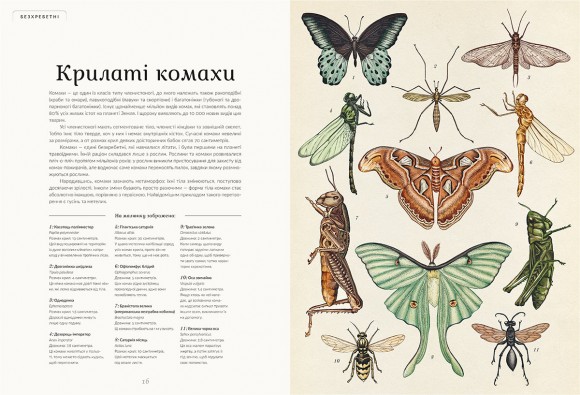 Анімаліум Анімаліум