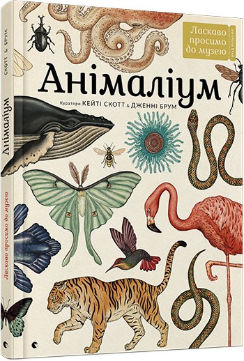 Анімаліум Анімаліум