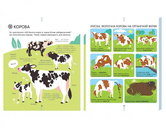 На фермі. Енциклопедія для допитливих
