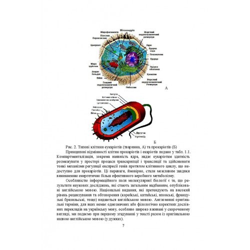 Молекулярна біологія
