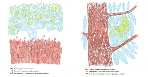 Що ховається у лісі?