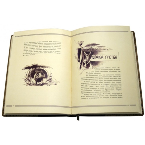 В джунглях Африки В джунглях Африки