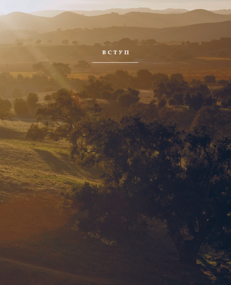 Недільна мудрість: осяяння, що змінюють життя Недільна мудрість: осяяння, що змінюють життя