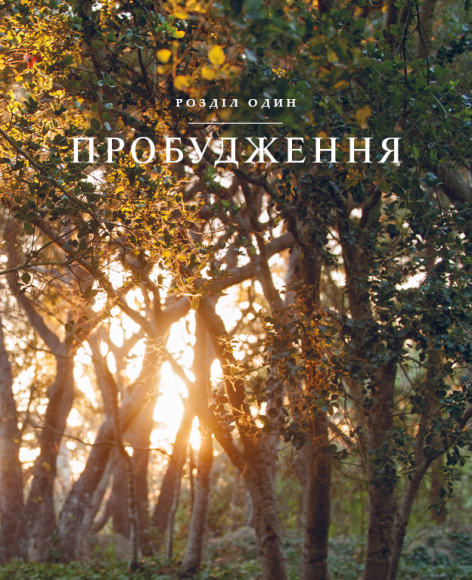 Недільна мудрість: осяяння, що змінюють життя Недільна мудрість: осяяння, що змінюють життя