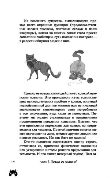 КОТоЛОГИКА. О чем молчит кошка