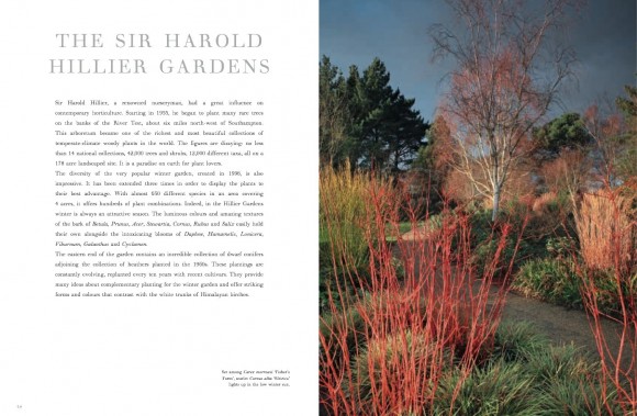 Winter Gardens. Reinventing the Season