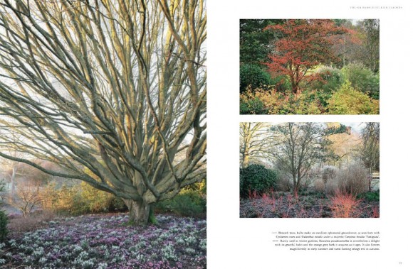 Winter Gardens. Reinventing the Season