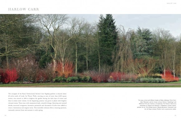 Winter Gardens. Reinventing the Season