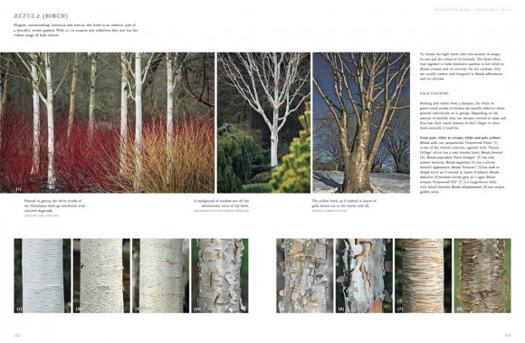 Winter Gardens. Reinventing the Season