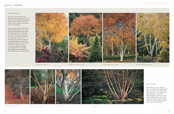 Winter Gardens. Reinventing the Season