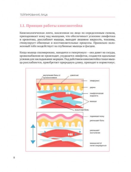 Тейпирование лица. Эффективная методика омоложения без хирургии и ботокса Тейпирование лица. Эффективная методика омоложения без хирургии и ботокса