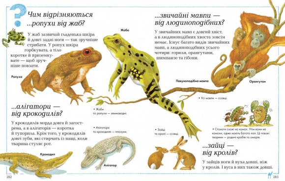 Велика книга «Чому?»