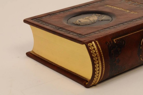 Енеїда (шкіра) Енеїда (шкіра)