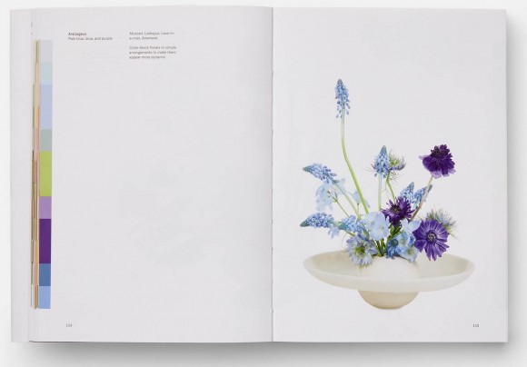 Flower Colour Theory Flower Colour Theory