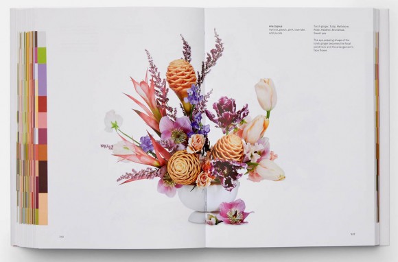 Flower Colour Theory Flower Colour Theory