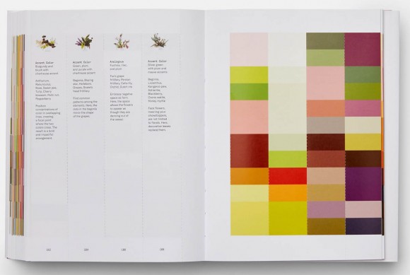 Flower Colour Theory Flower Colour Theory