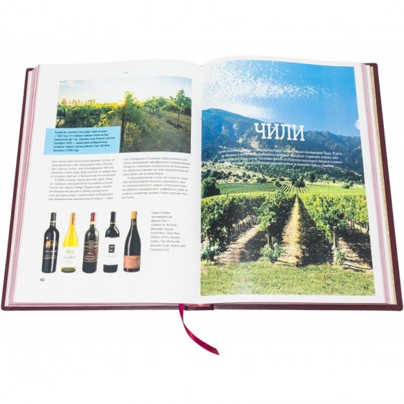 Лучшие вина