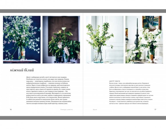 Натхнення природою. Створюємо індивідуальні та природні інтер’єри