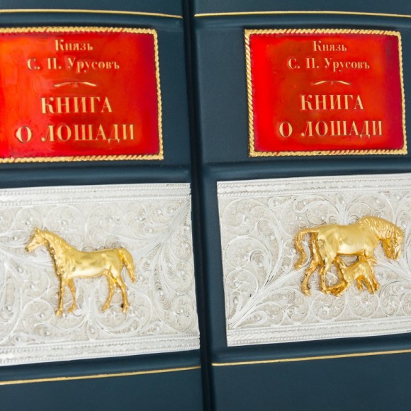 Книга о лошади