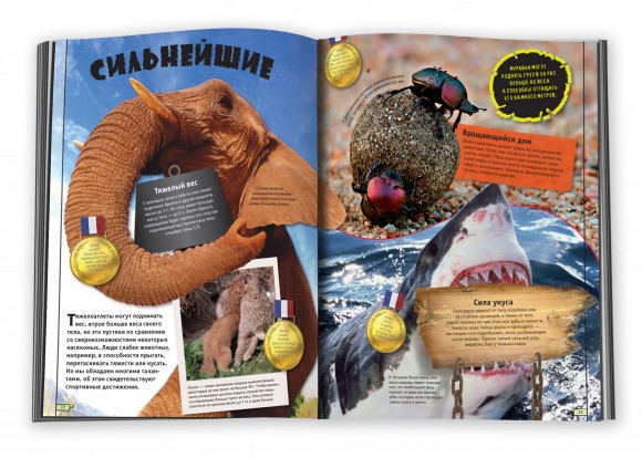 Животные. Полная энциклопедия Животные. Полная энциклопедия