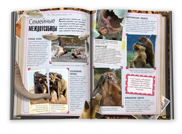 Животные. Полная энциклопедия Животные. Полная энциклопедия