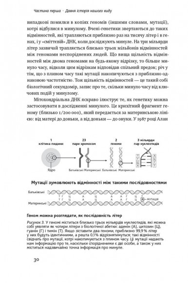 Хто ми такі? Походження людини крізь призму ДНК