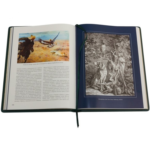 Соколиная охота Соколиная охота