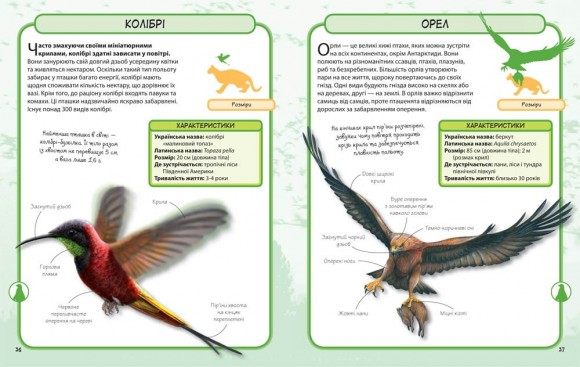 Дикі тварини. Міні-енциклопедія Дикі тварини. Міні-енциклопедія