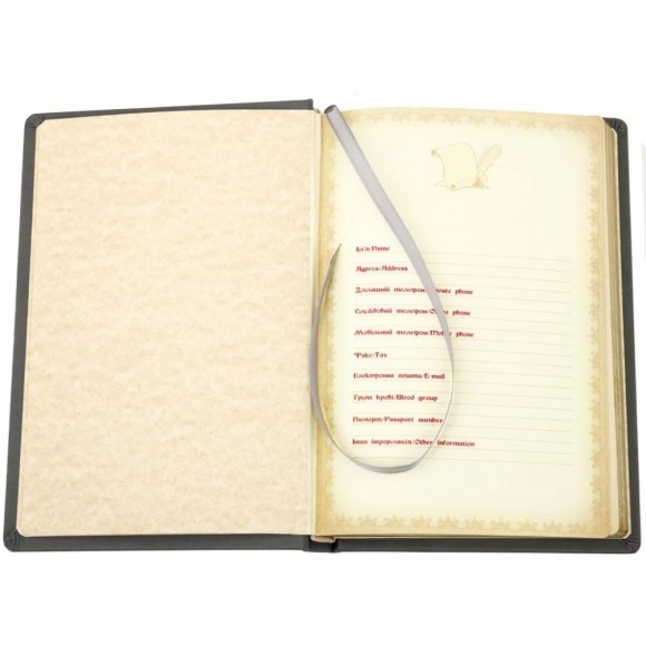 Щоденник "Ангел Охоронець" Щоденник "Ангел Охоронець"