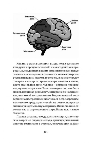 Восхождение. Рабочая дорожная карта к идеальной версии счастливого и успешного себя Восхождение. Рабочая дорожная карта к идеальной версии счастливого и успешного себя