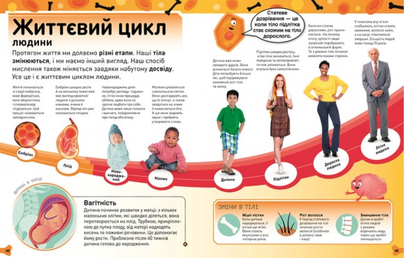 Фантастичне тіло. Шалена кров, круті кістки, потайні нутрощі й інші дивовижі Фантастичне тіло. Шалена кров, круті кістки, потайні нутрощі й інші дивовижі