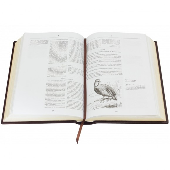 Энциклопедия охоты Энциклопедия охоты