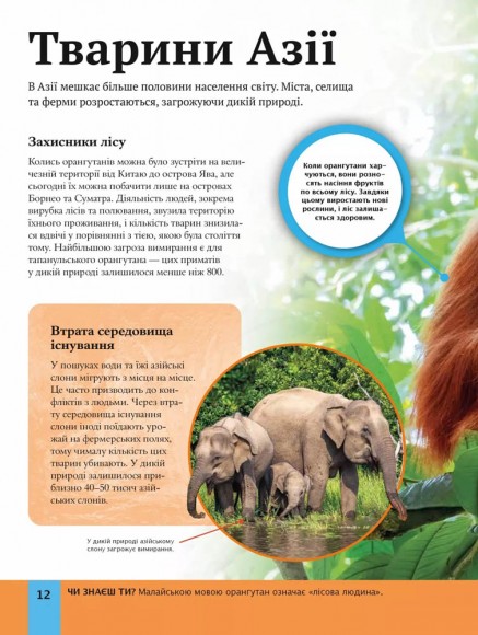 Дитяча енциклопедія довкілля Дитяча енциклопедія довкілля