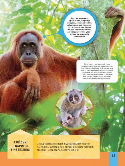 Дитяча енциклопедія довкілля Дитяча енциклопедія довкілля