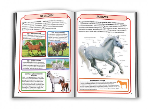 Коні і поні. Міні-енциклопедія Коні і поні. Міні-енциклопедія