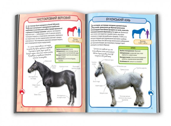 Коні і поні. Міні-енциклопедія Коні і поні. Міні-енциклопедія