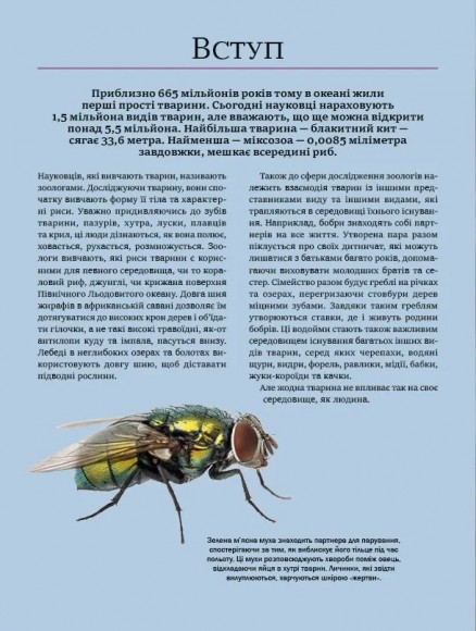 Велика книга тварин Велика книга тварин