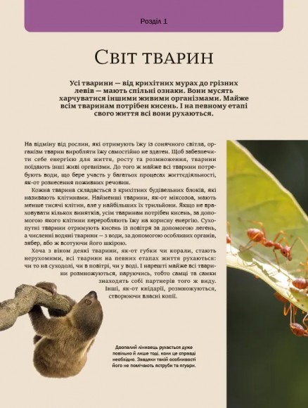 Велика книга тварин Велика книга тварин