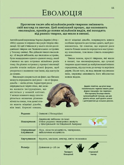 Велика книга тварин Велика книга тварин